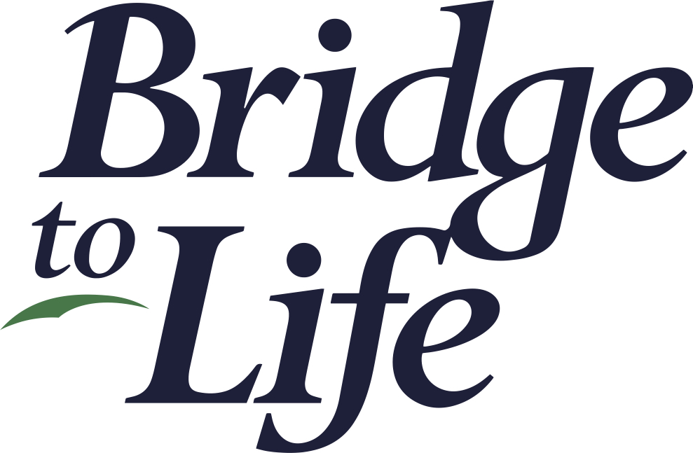 Bridge to Life_2021